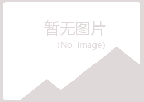 白银平川之桃造纸有限公司